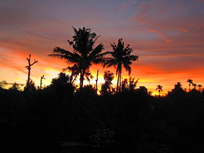 Nyoman Murjana Homestay Убуд Экстерьер фото